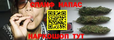 apvp Донской