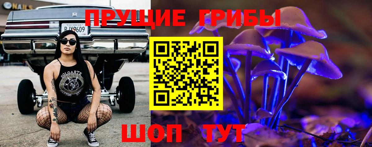 Луховицы  где купить   Вход с VPN  Псилоцибиновые грибы Psilocybine cubensis  Псилоцибиновые грибы мицелий 