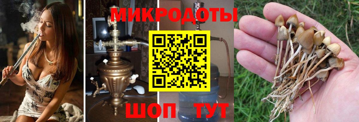 Галлюциногенные грибы MAGIC MUSHROOMS Луховицы